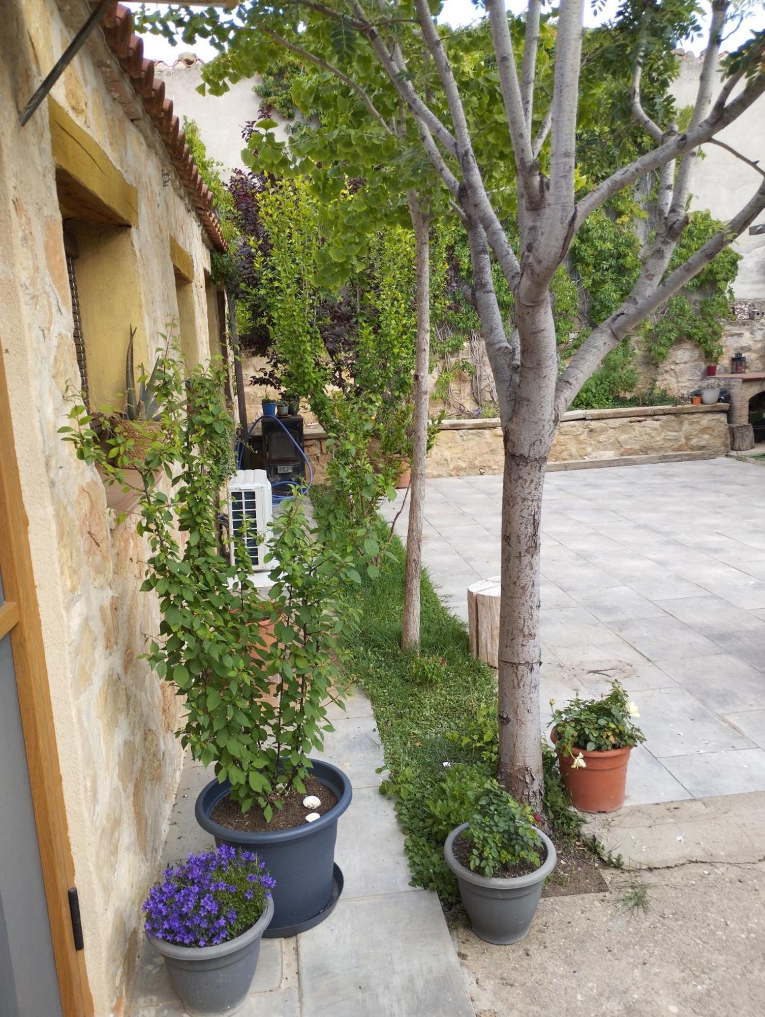 Casa Rural El Olivo Puigmoreno Exterior foto